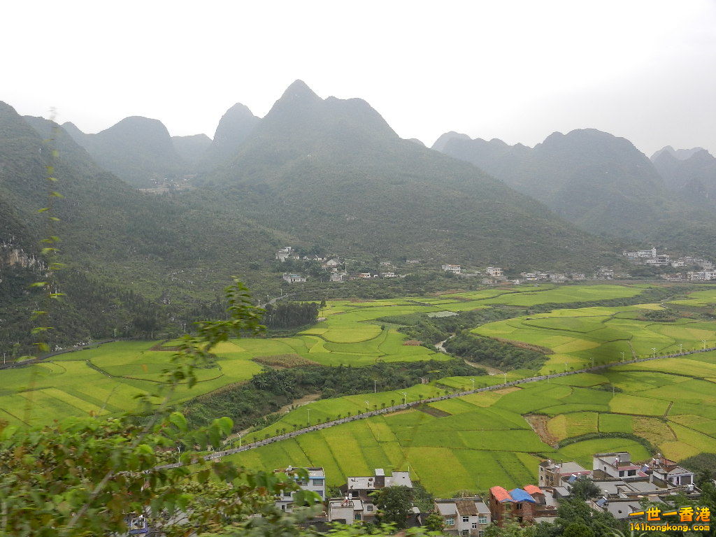 DSCN9876.JPG