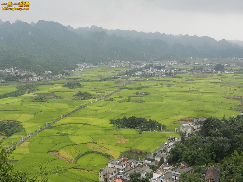 DSCN9883.JPG