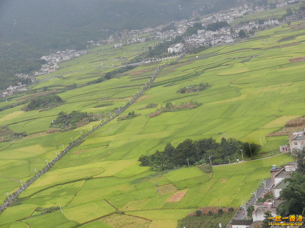 DSCN9889.JPG