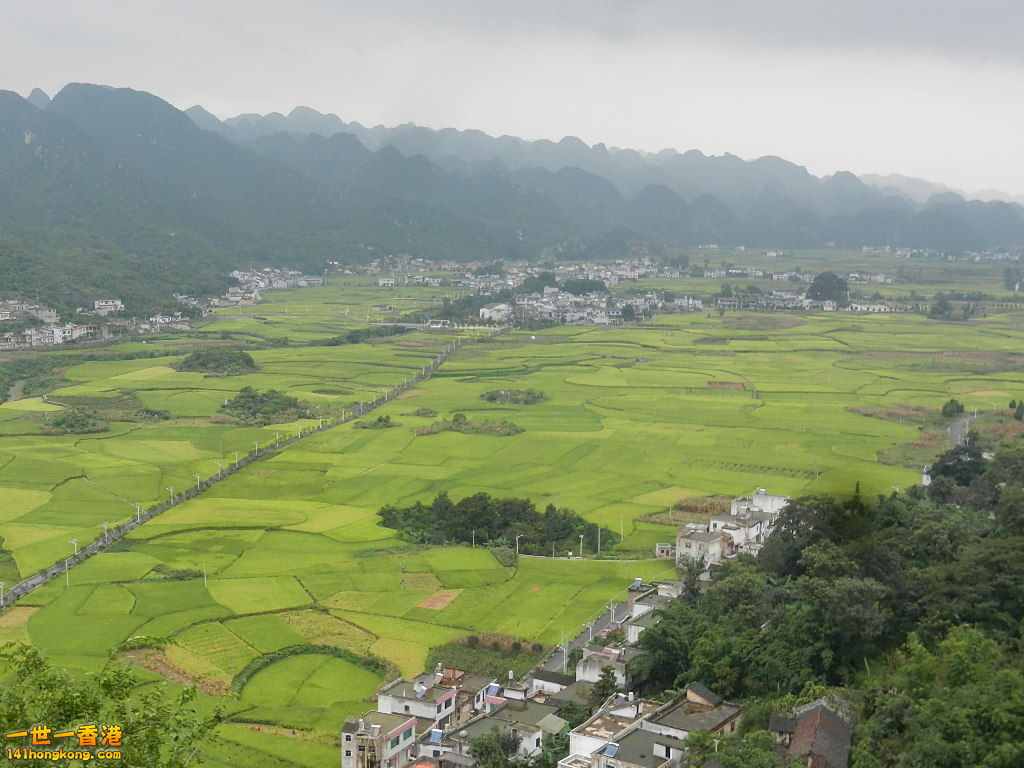 DSCN9890.JPG