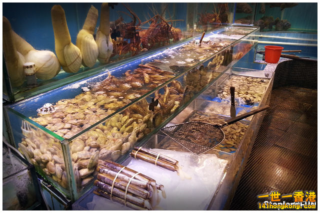 HK Fish Market 01.jpg