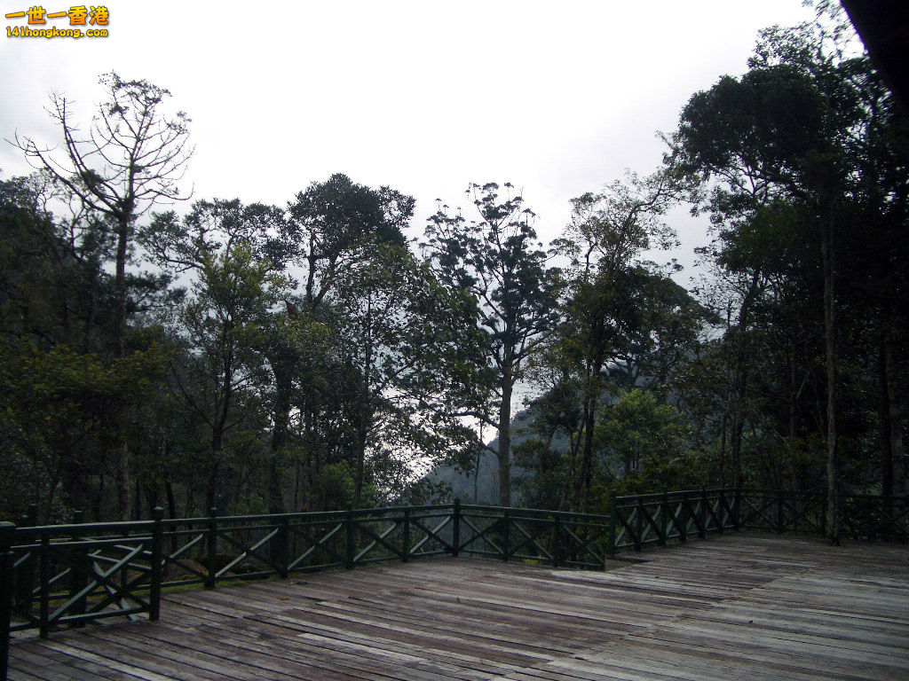 IMGP1359.JPG