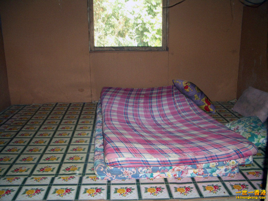 IMGP1573.JPG