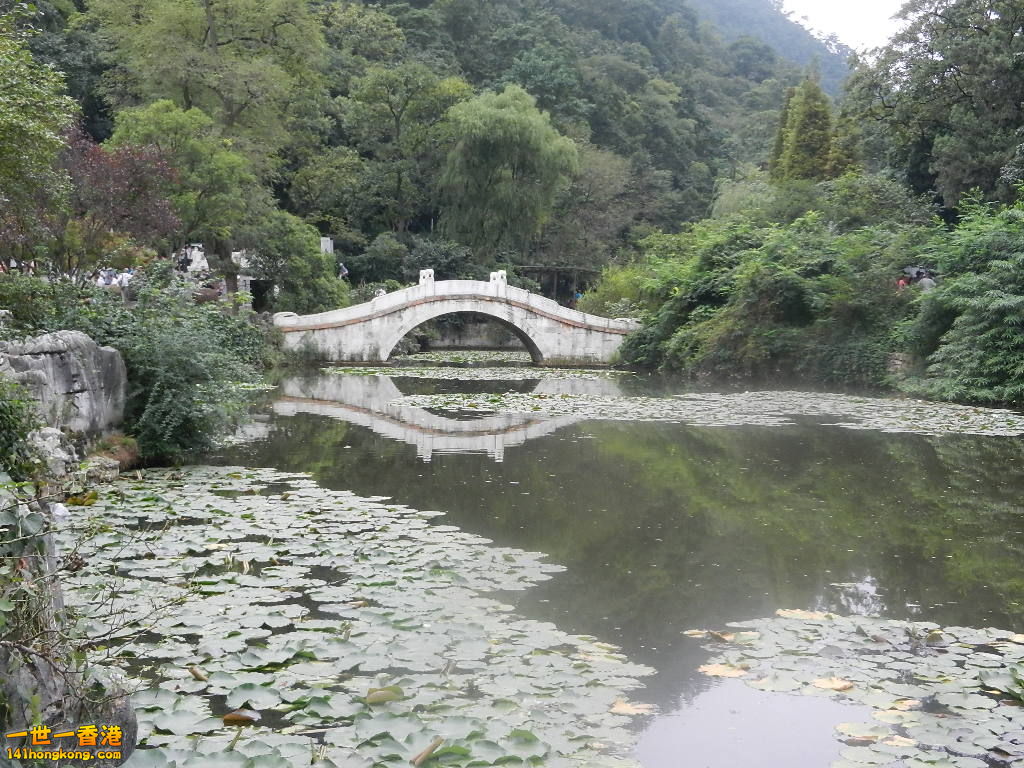 DSCN8981.JPG