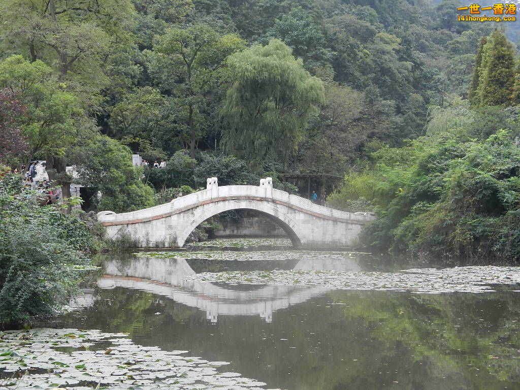DSCN8982.JPG
