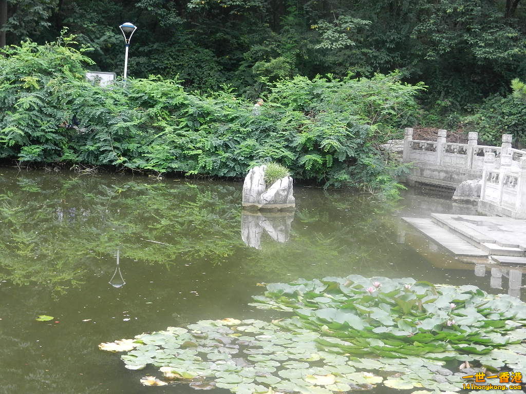 DSCN8984.JPG