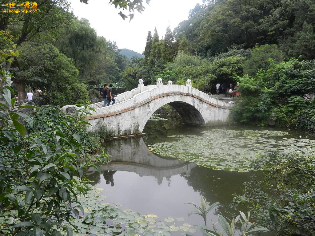 DSCN8986.JPG