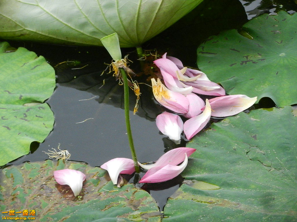 DSCN9079.JPG
