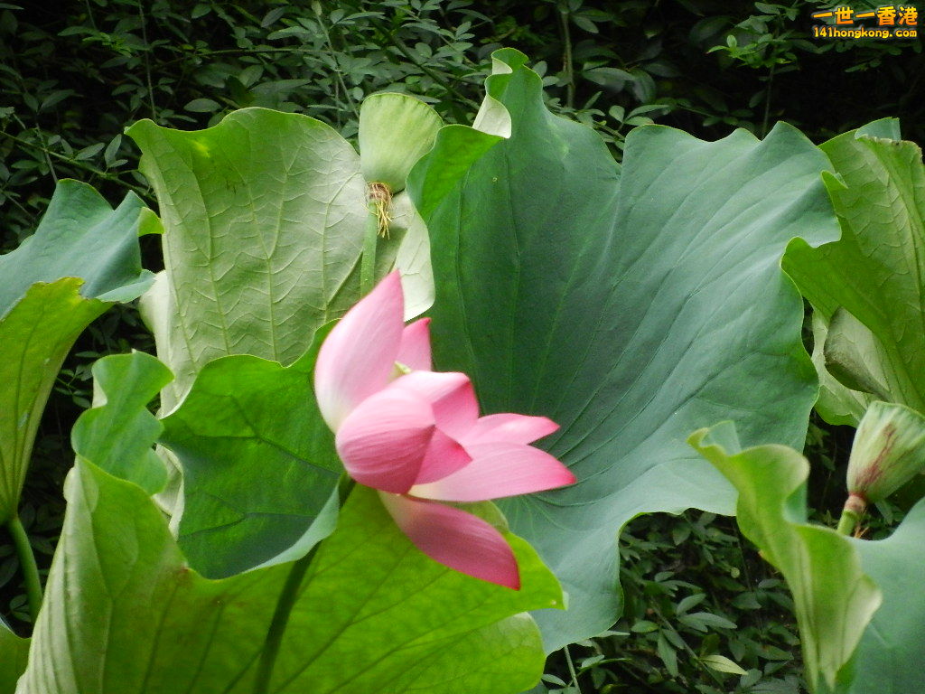 DSCN9085.JPG