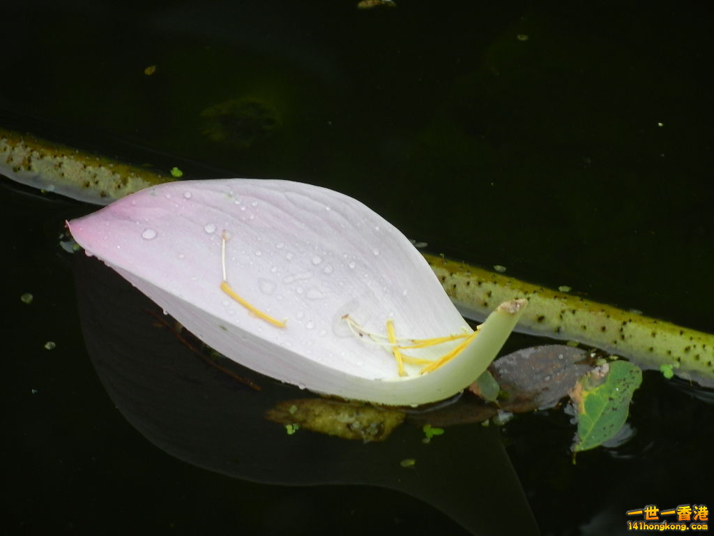 DSCN9091.JPG