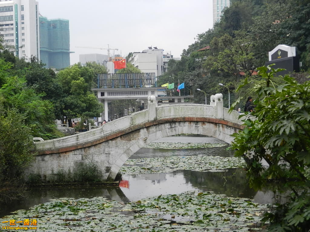 DSCN9102.JPG