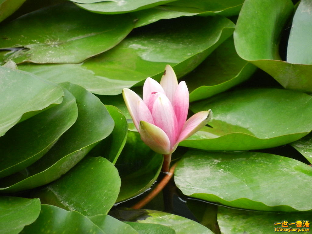 DSCN9107.JPG