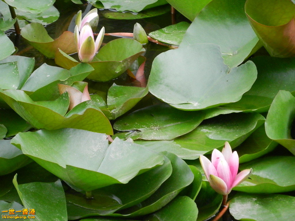 DSCN9109.JPG