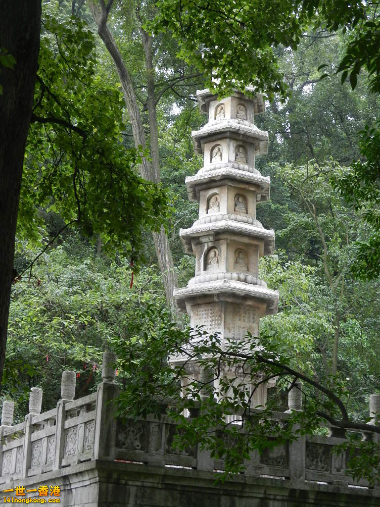 DSCN9070.JPG