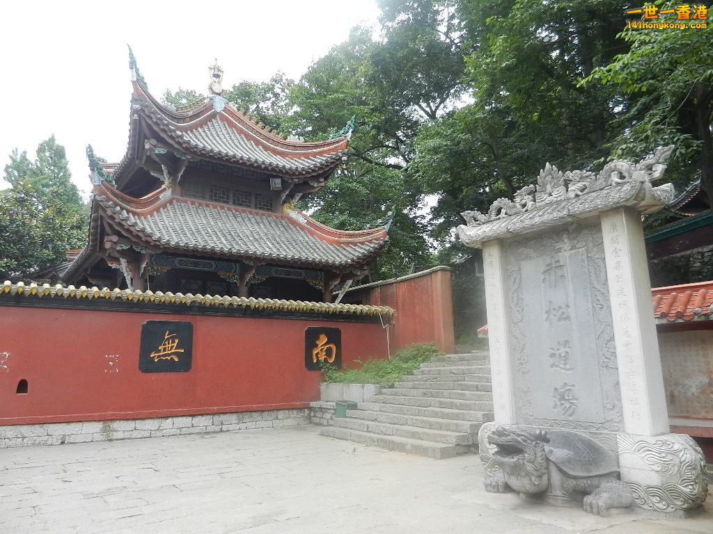 DSCN9020.JPG
