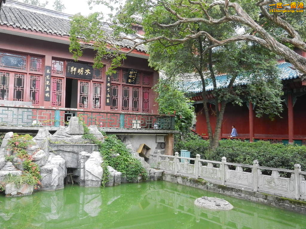 DSCN9038.JPG