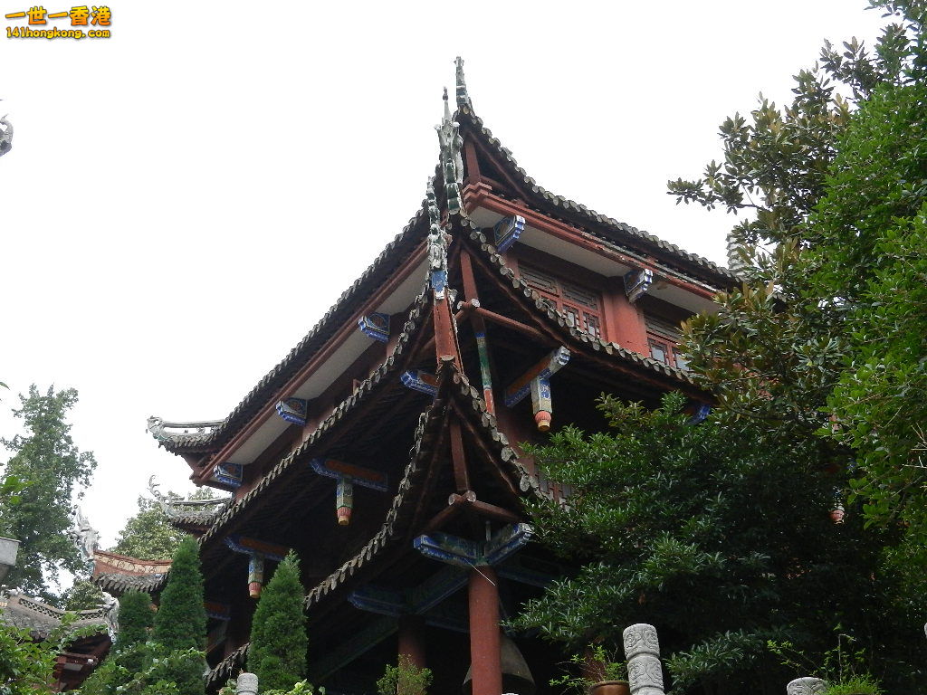 DSCN9049.JPG