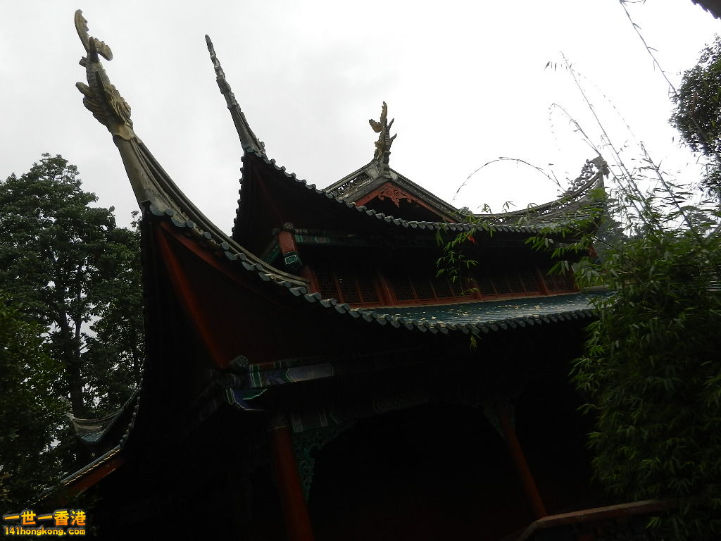DSCN9050.JPG