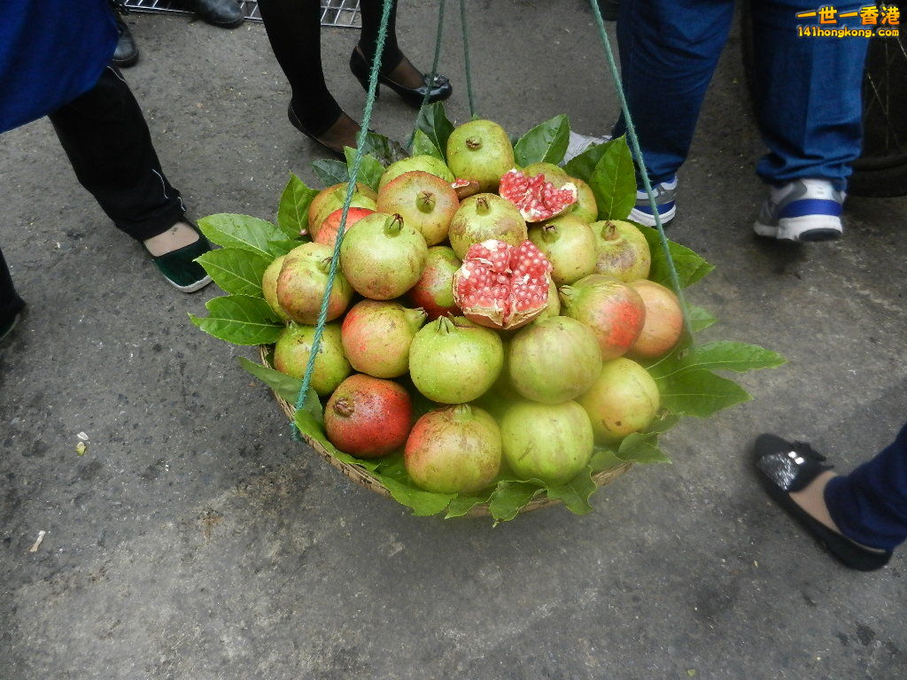 DSCN8975.JPG