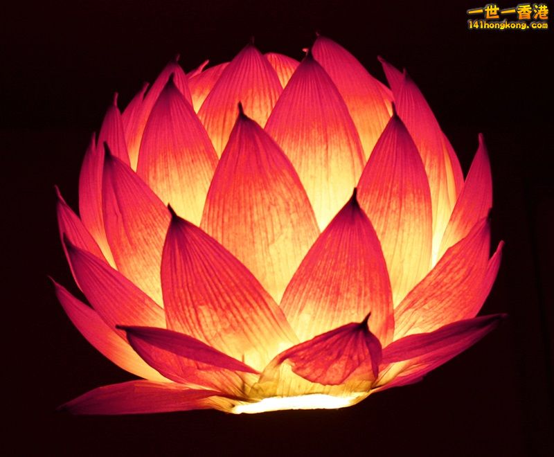 lotus-lantern.jpg