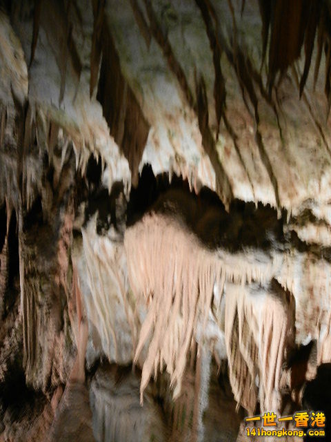 DSCN8650.JPG