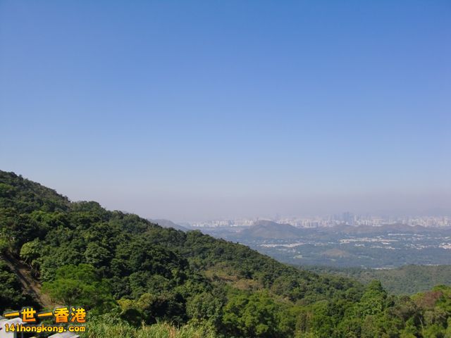 photo.jpg