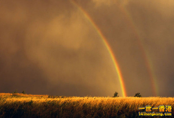 rainbows11-610x412.jpg