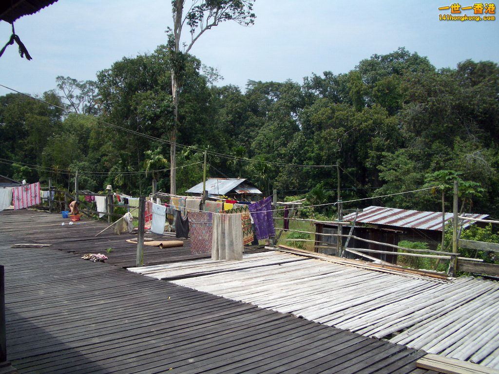 IMGP1571.JPG