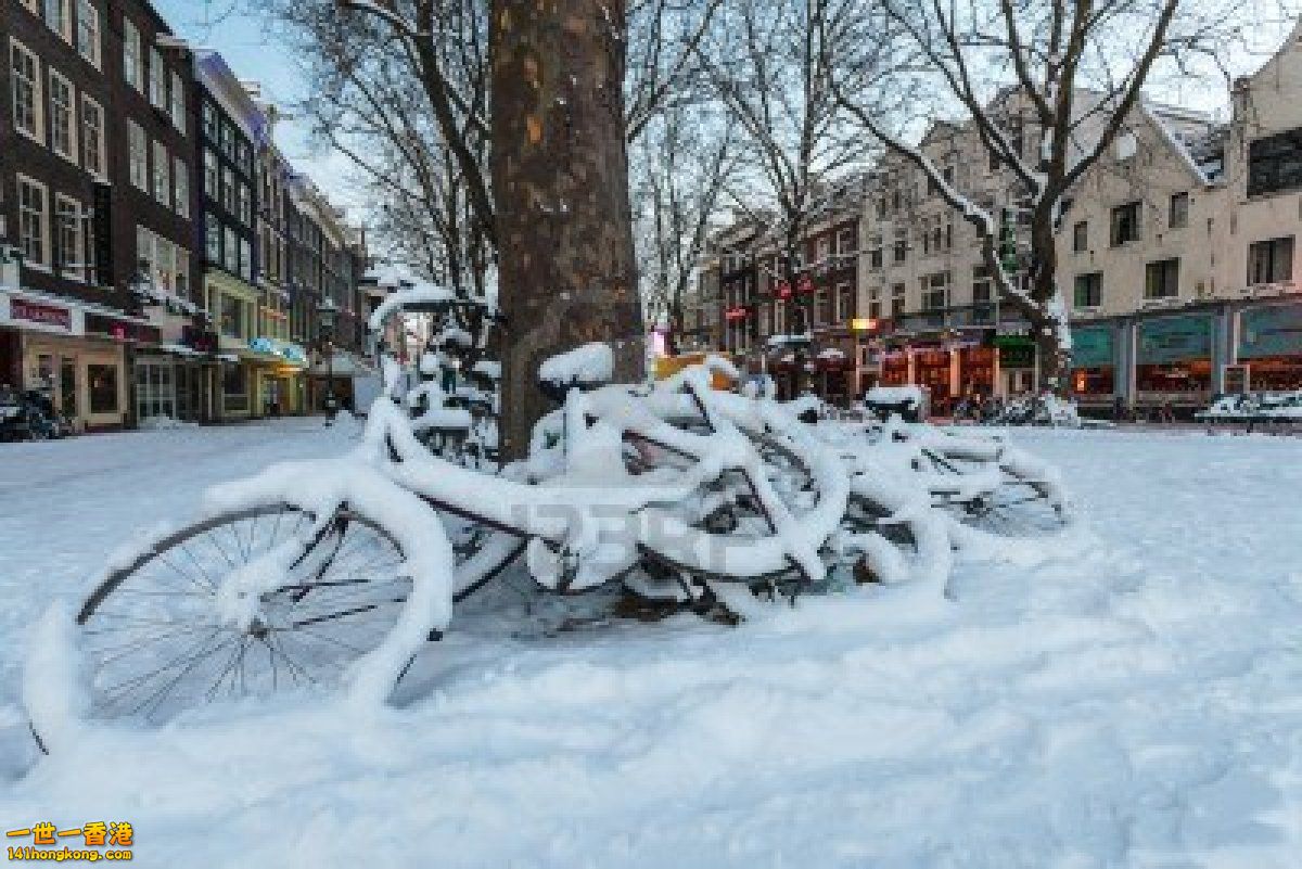 15791352-bicycles-covered-with-snow-on-the-thorbeckeplein-town-square-in-amsterdam.jpg