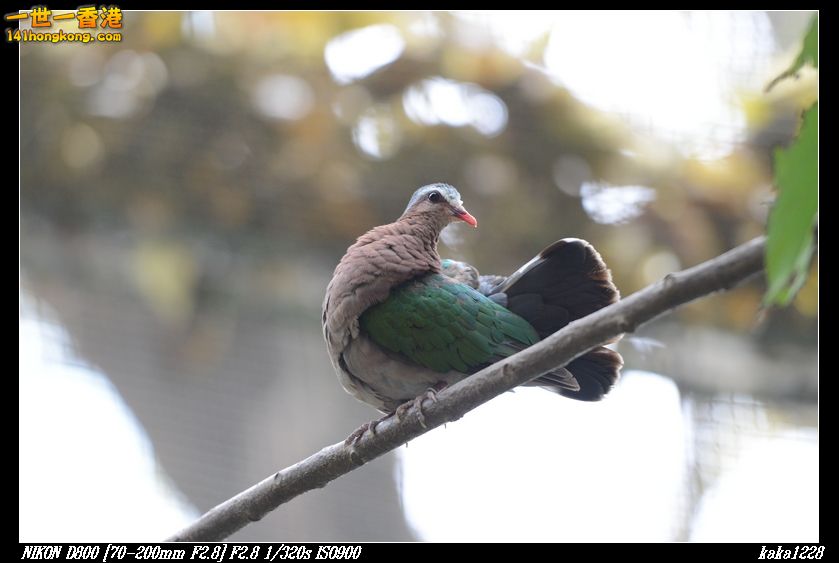 nEO_IMG_DSC_1042.jpg