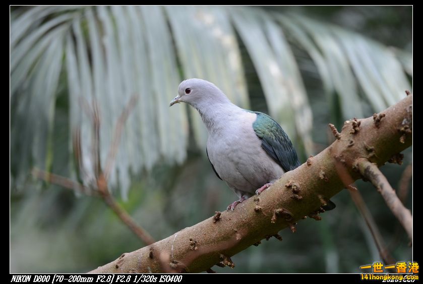 nEO_IMG_DSC_1173.jpg