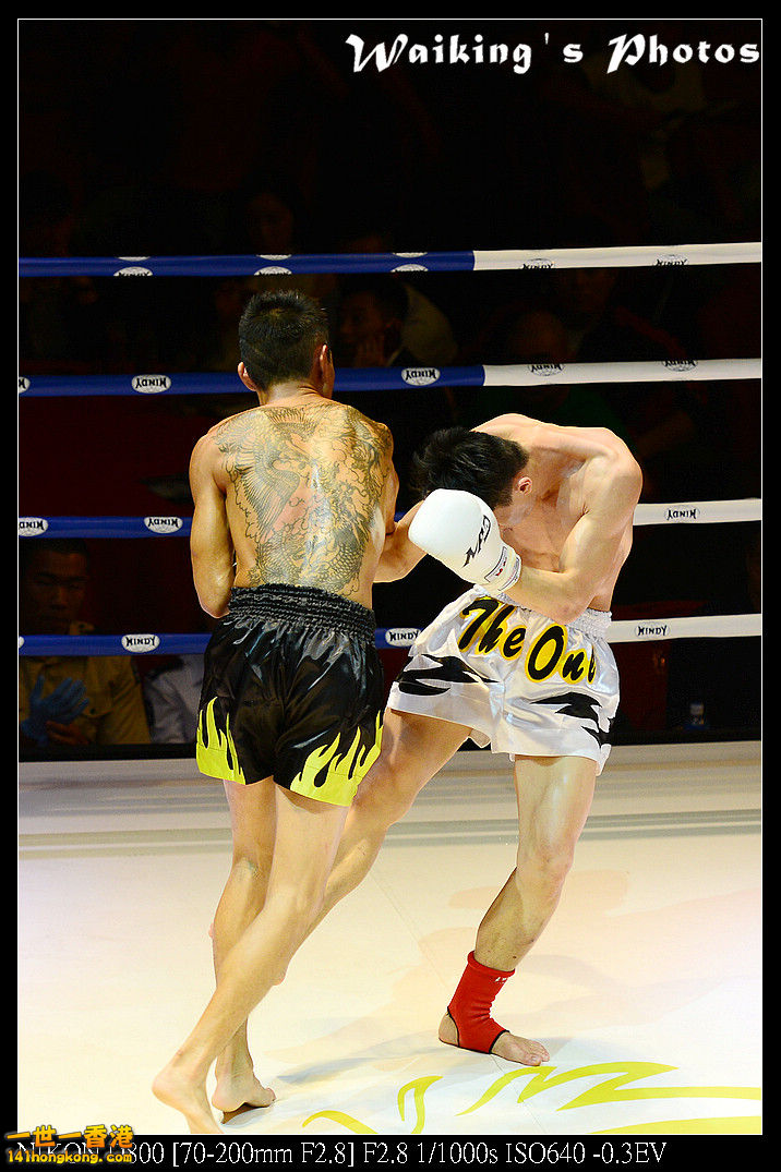 DSC_2417R.jpg