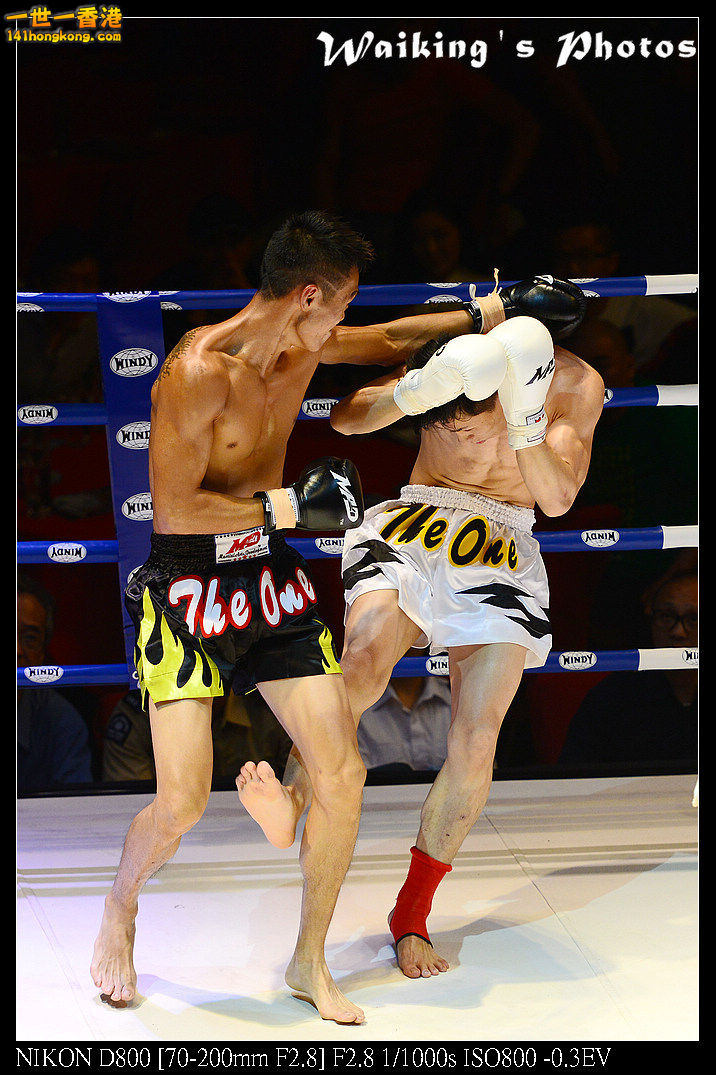 DSC_2424R.jpg