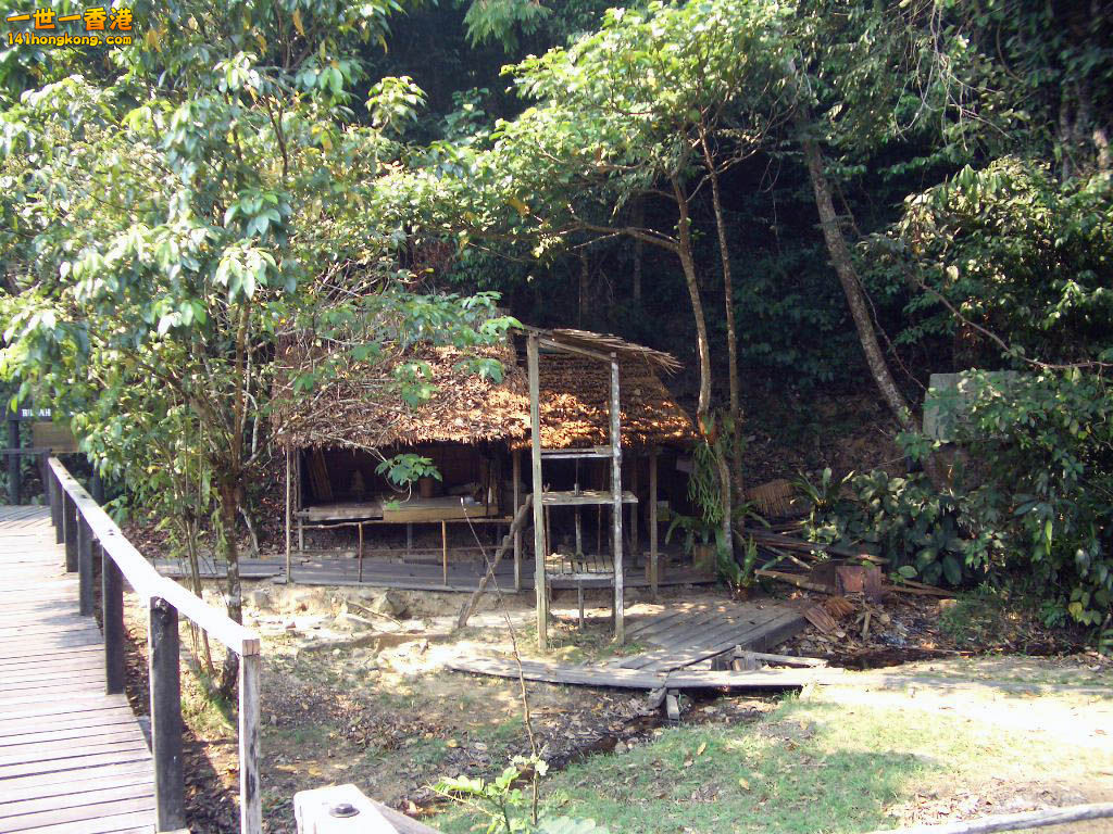 IMGP1466.JPG