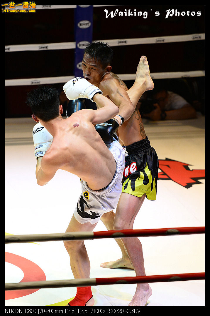 DSC_2458R.jpg