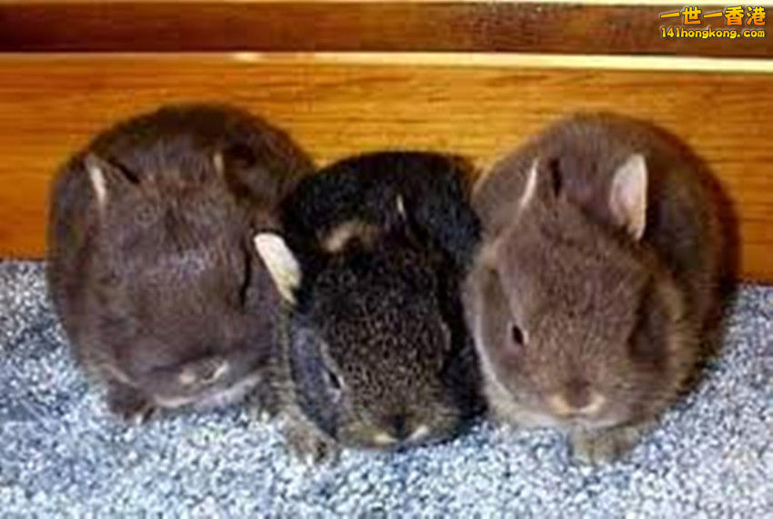 images (36)_副本.jpg