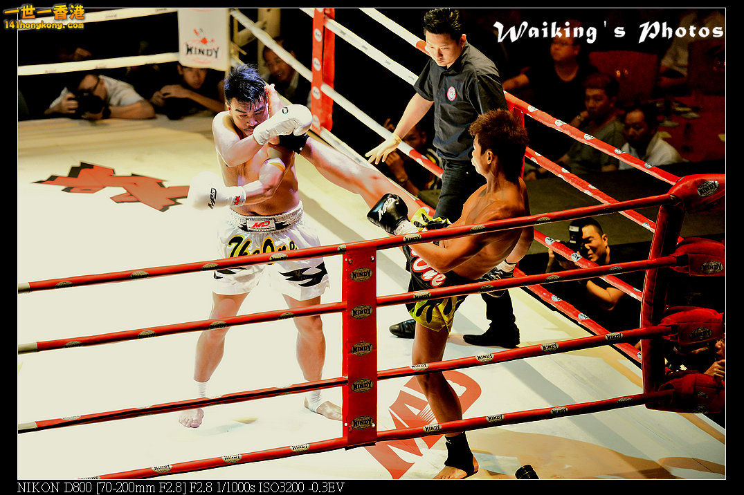DSC_2524R.jpg