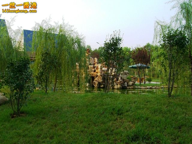 photo.jpg