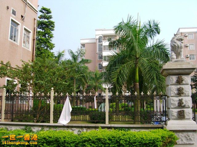 photo.jpg