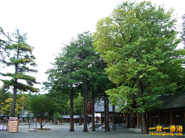photo.jpg