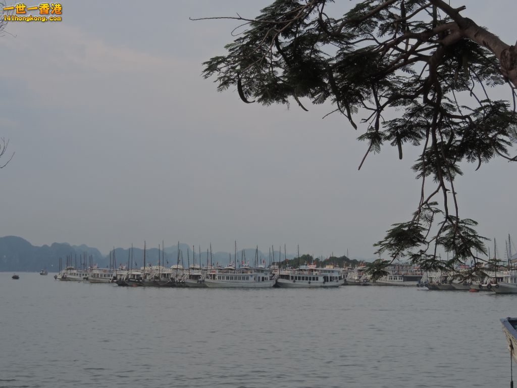 DSCN6080.JPG