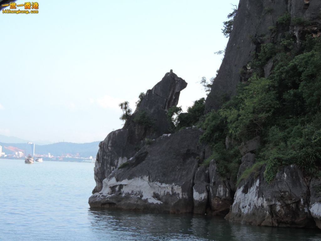 DSCN6093.JPG