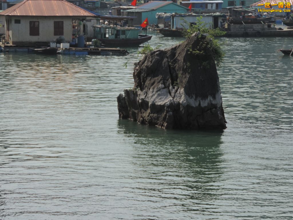DSCN6101.JPG