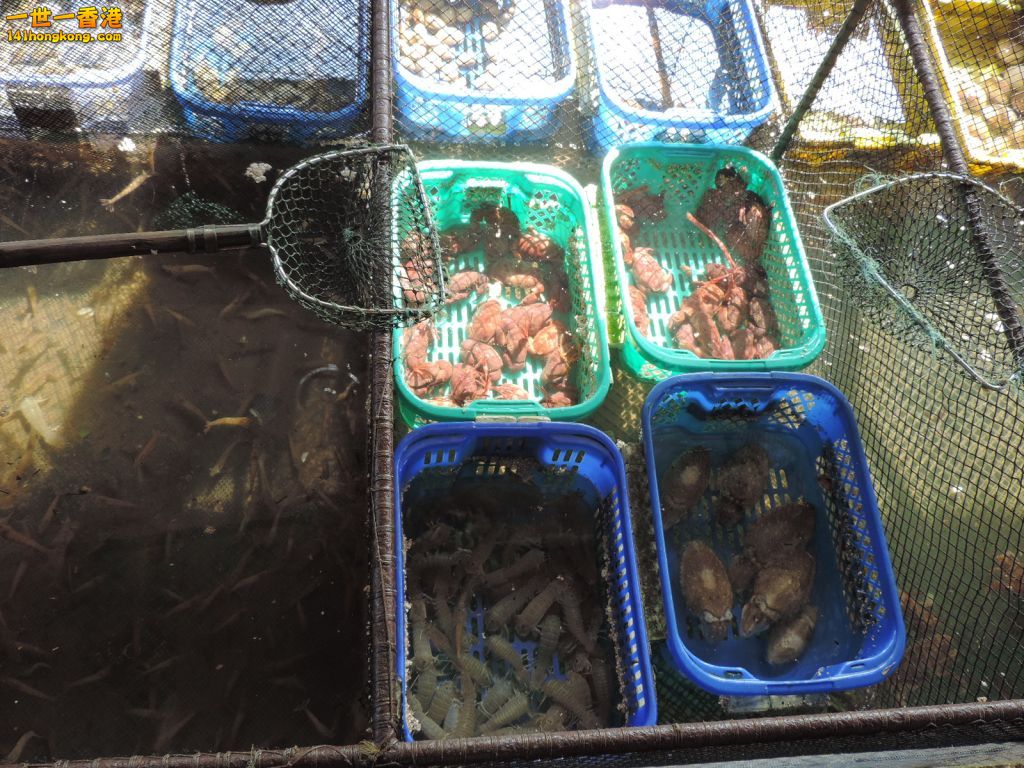 DSCN6114.JPG