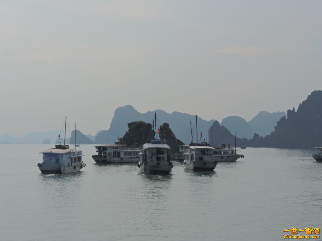 DSCN6121.JPG