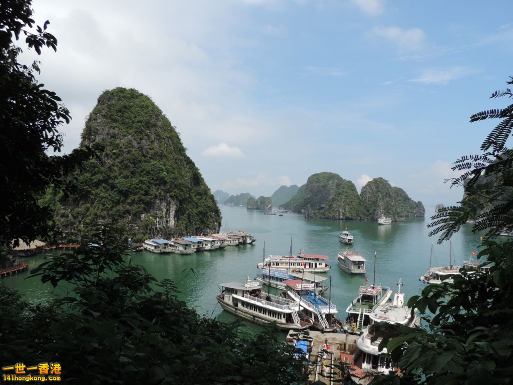 DSCN6139.JPG