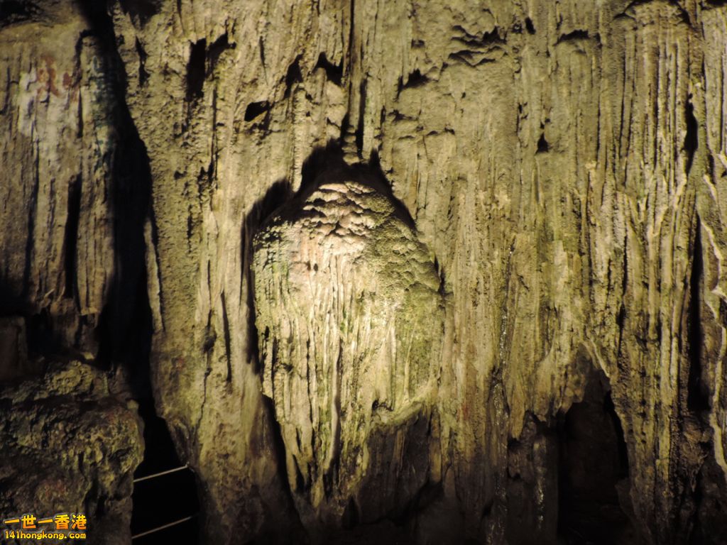 DSCN6151.JPG