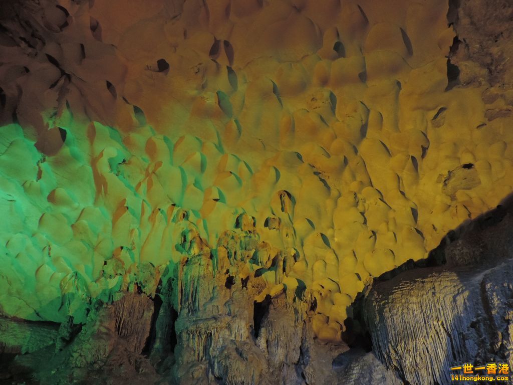 DSCN6157.JPG