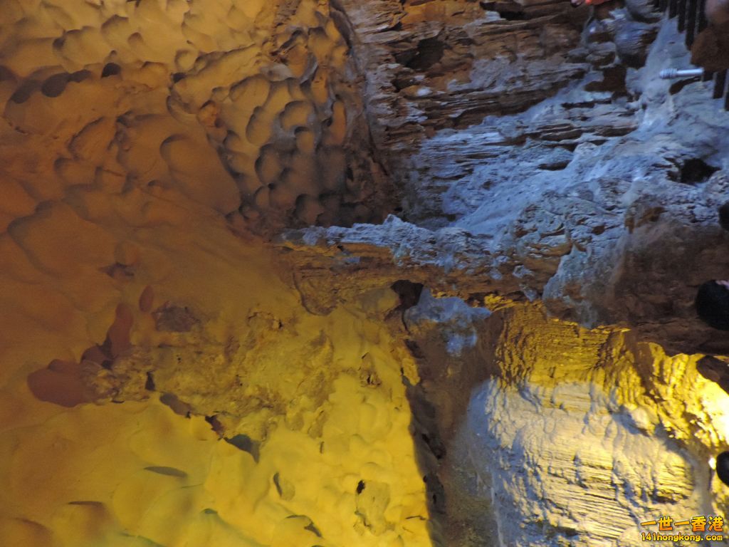 DSCN6158.JPG