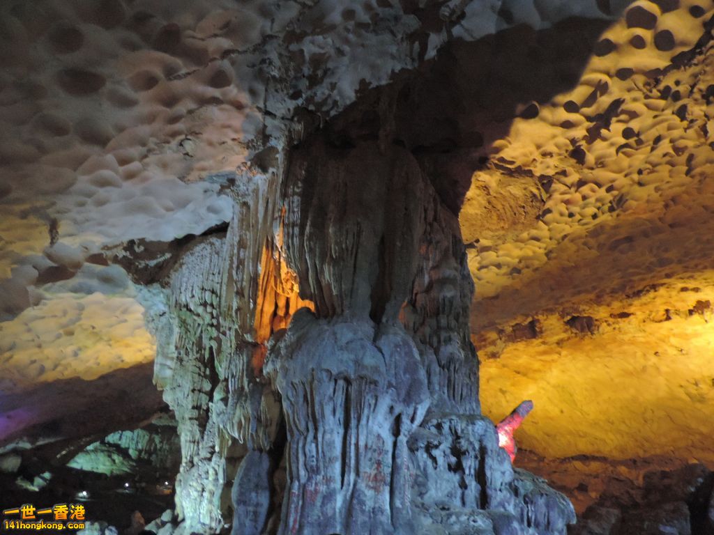 DSCN6165.JPG